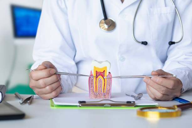 Best Urgent Tooth Repair  in Marksville, LA